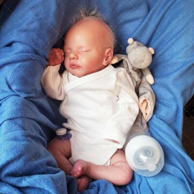 19” Truly Reborn Baby Realistic Lifelike Handmade Dolls for Children SweetHouse Reborns® Murray