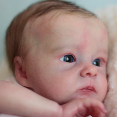 17" Realistic Reborn Toddlers Baby Girl Doll Best Reborn Toy Dolls for Children SweetHouse Reborns® Gladys