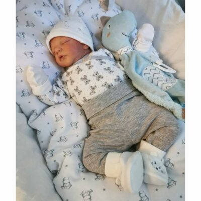 19'' Realistic Soft Handmade Dolls Real Toys For Children SweetHouse Reborns® Ted