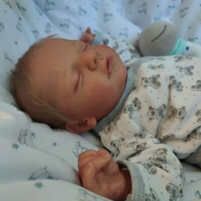 19'' Adorable Handmade Silicone Reborn Baby Doll SweetHouse Reborns® Adam