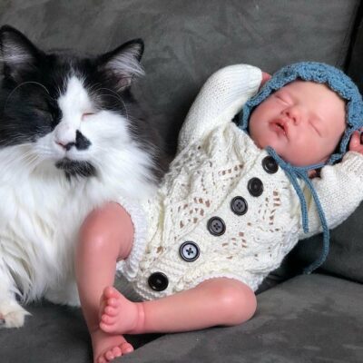 19'' Super Trending Silicone Vinyl Reborn Baby Lovely Doll SweetHouse Reborns® Paddy